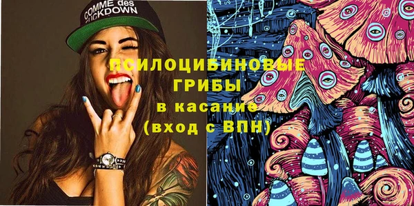 МДПВ Армянск