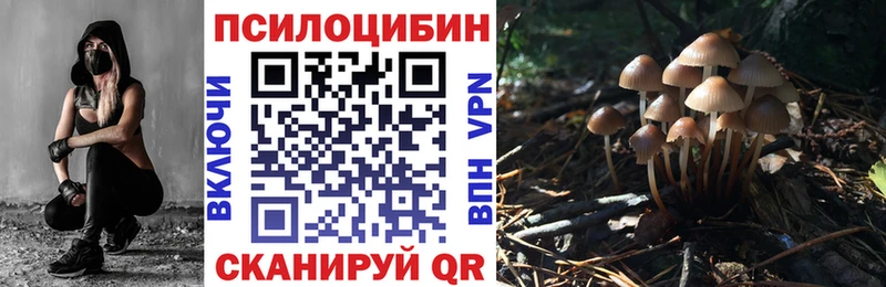 ОМГ ОМГ tor  Ленинск  Галлюциногенные грибы Cubensis  дарк нет формула  сколько стоит 