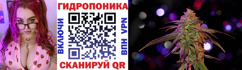 купить наркоту  Ленинск  Каннабис семена 
